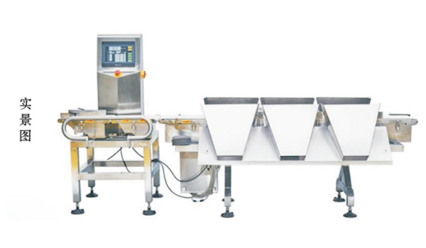 国强分拣、称重系统